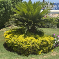 фото из отзыва ID 2699328