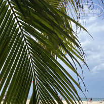 фото из отзыва ID 2699336