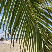 фото из отзыва ID 2699336