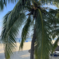 фото из отзыва ID 2699336