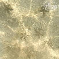 фото из отзыва ID 2699388