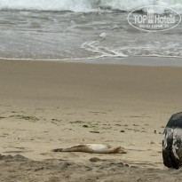 фото из отзыва ID 2699392