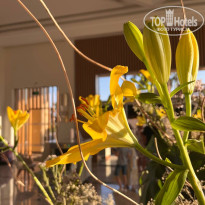 фото из отзыва ID 2699416