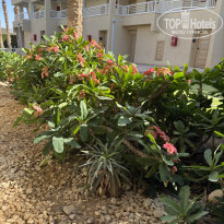 фото из отзыва ID 2699416