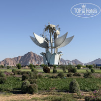 фото из отзыва ID 2699423