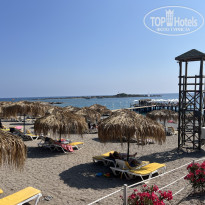 фото из отзыва ID 2699426