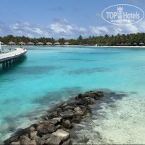 фото из отзыва ID 2699447