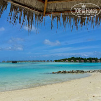 фото из отзыва ID 2699447