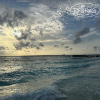 фото из отзыва ID 2699447