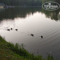 фото из отзыва ID 2699470