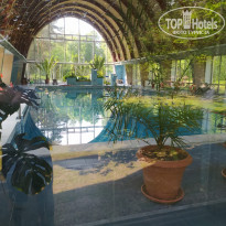 фото из отзыва ID 2699470