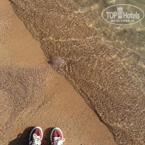 фото из отзыва ID 2699481