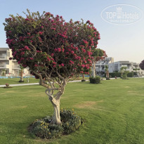 фото из отзыва ID 2699481