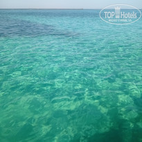 фото из отзыва ID 2699486