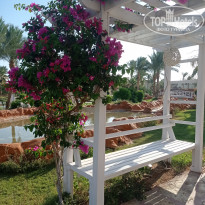 фото из отзыва ID 2699486