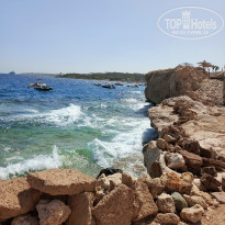 фото из отзыва ID 2699523