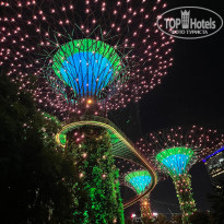 фото из отзыва ID 2699498