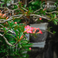 фото из отзыва ID 2699544