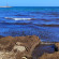фото из отзыва ID 2699568