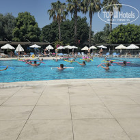 фото из отзыва ID 2699574