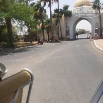 фото из отзыва ID 2699569