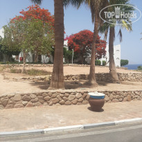 фото из отзыва ID 2699569