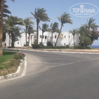 фото из отзыва ID 2699569