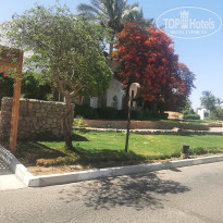 фото из отзыва ID 2699569