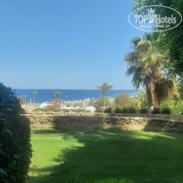 фото из отзыва ID 2699569