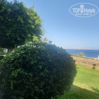 фото из отзыва ID 2699569