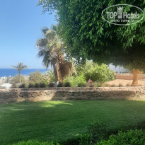 фото из отзыва ID 2699569