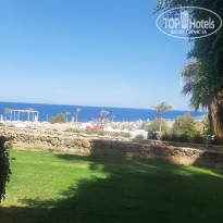 фото из отзыва ID 2699569