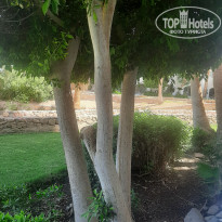 фото из отзыва ID 2699569