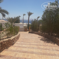 фото из отзыва ID 2699569