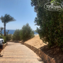 фото из отзыва ID 2699569