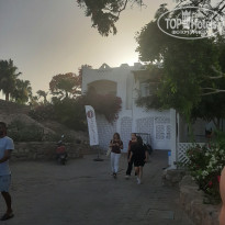 фото из отзыва ID 2699569