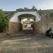 фото из отзыва ID 2699569