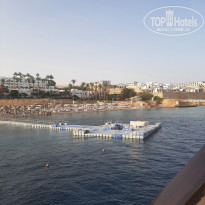 фото из отзыва ID 2699569