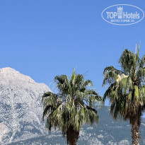 фото из отзыва ID 2699607