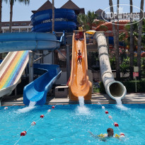 фото из отзыва ID 2699619