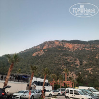 фото из отзыва ID 2699646