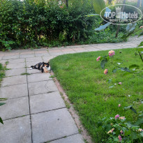 фото из отзыва ID 2699646