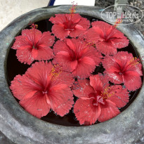 фото из отзыва ID 2699632