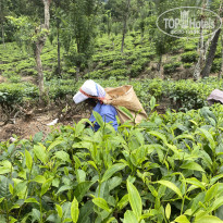 фото из отзыва ID 2699632