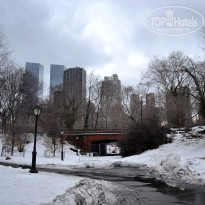 фото из отзыва ID 2699679