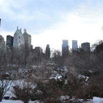 фото из отзыва ID 2699679