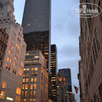 фото из отзыва ID 2699679