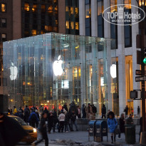 фото из отзыва ID 2699679