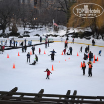 фото из отзыва ID 2699679