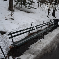 фото из отзыва ID 2699679